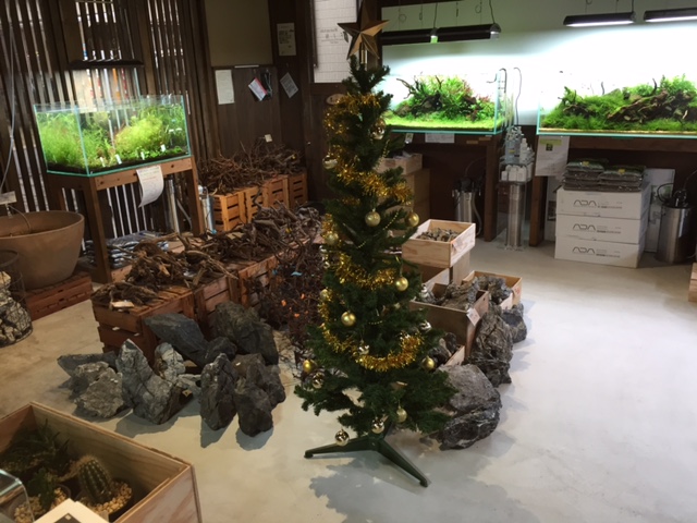 水草工房fin店内
