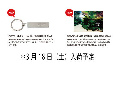 And ADA 新製品発売のご案内