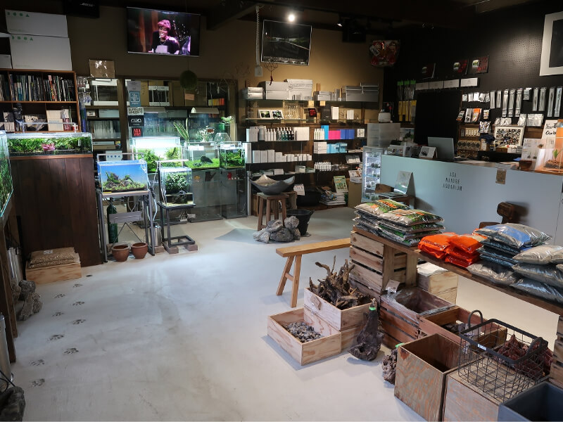 水草工房fin 店内