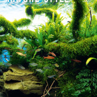 NATURE STYLE_001