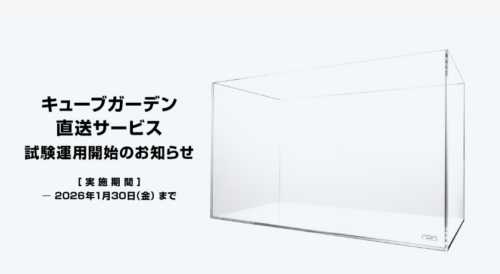 キューブガーデン直送