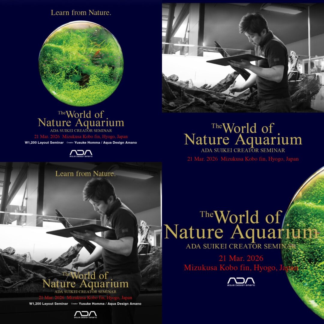 ADA world of nature aquarium